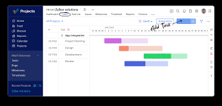 Zoho Project